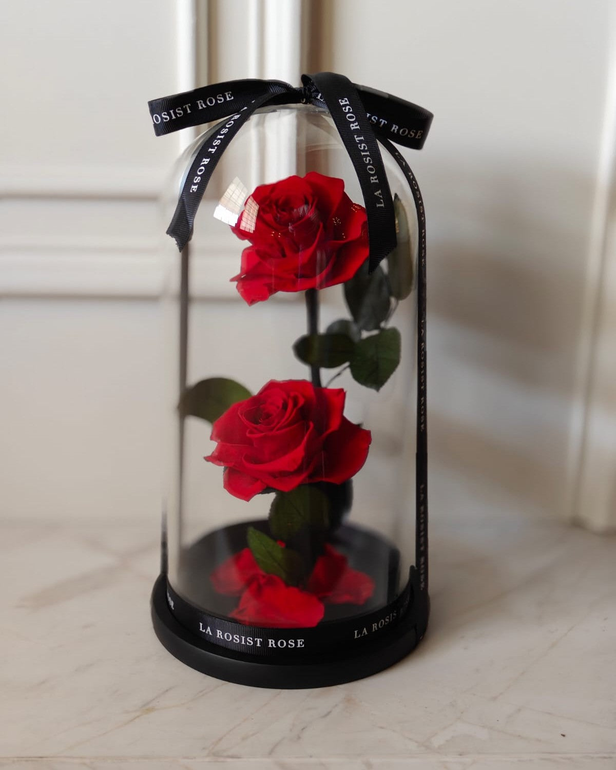 2 Head Infinity Rose Dome/ Size4