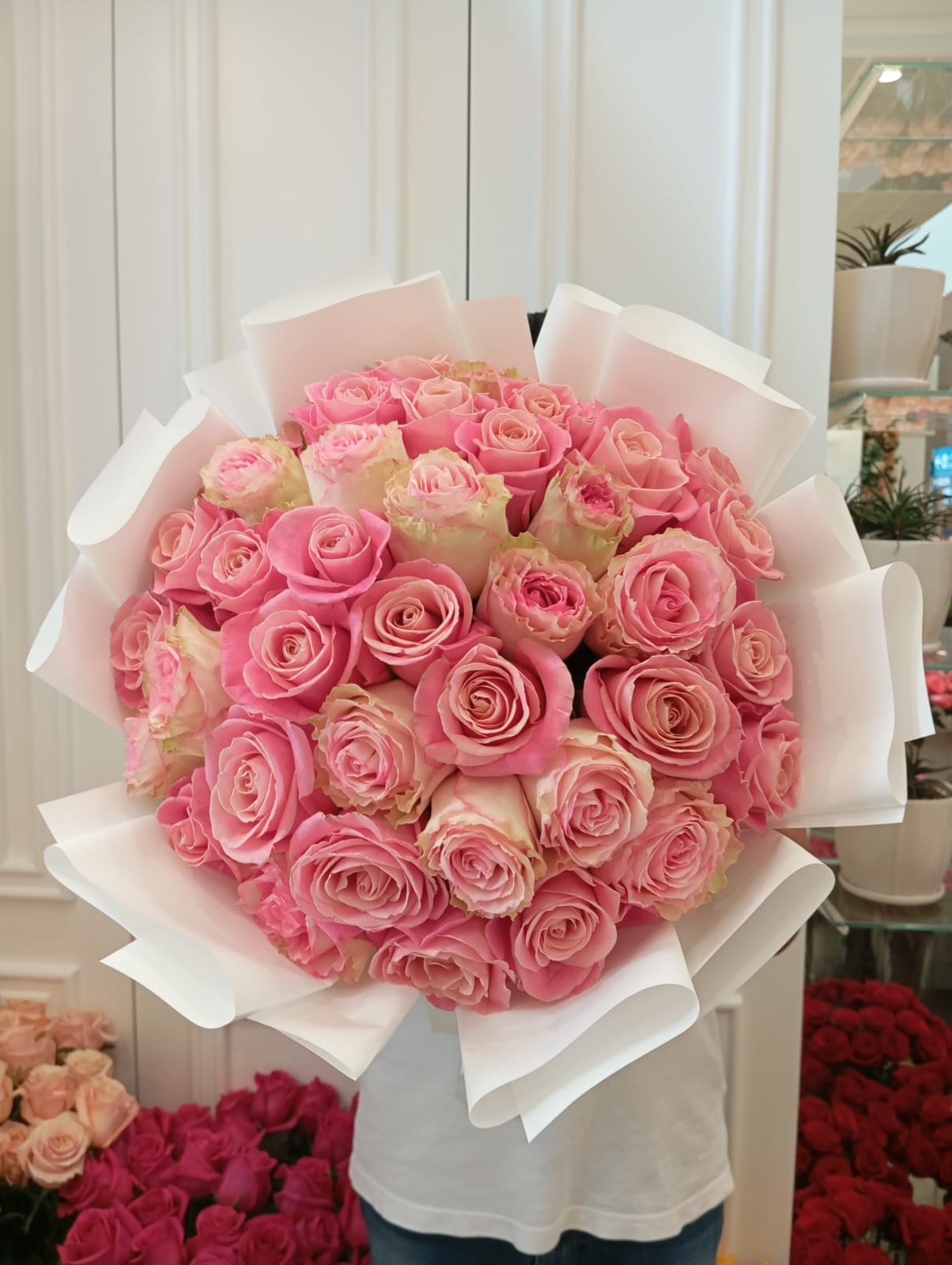 Blushing Petals