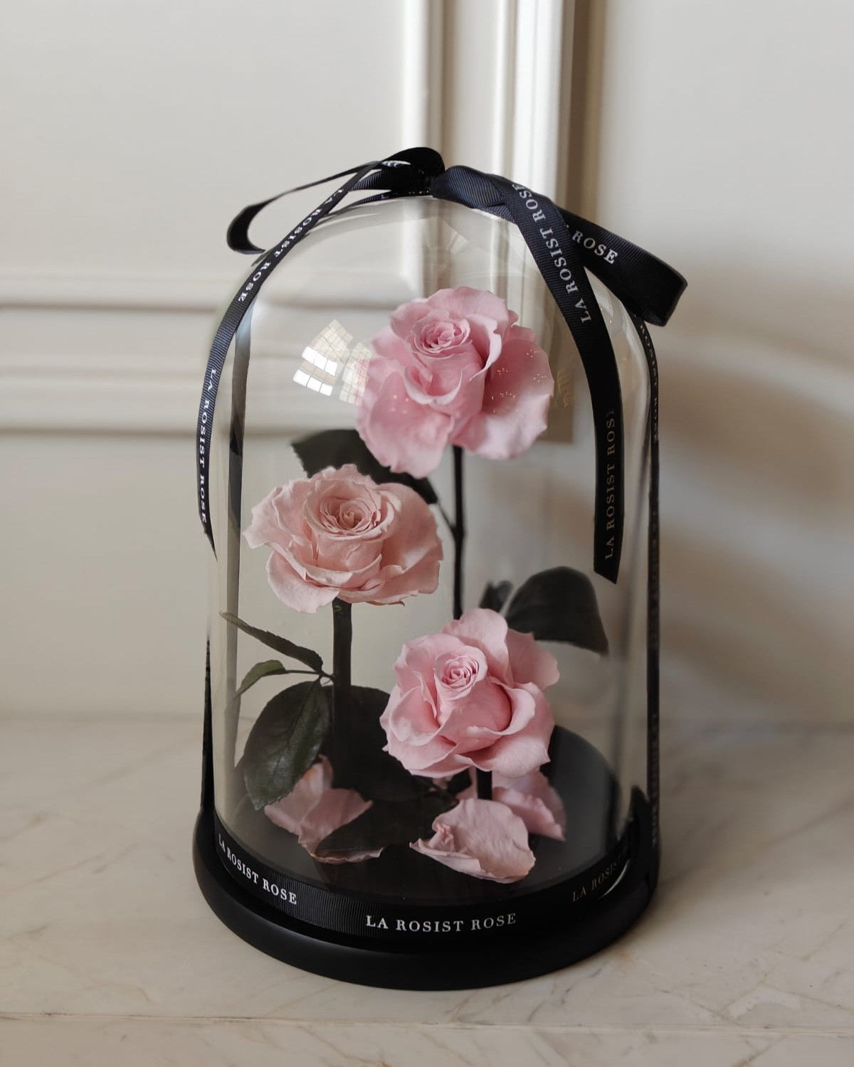 3 Head Infinity Rose  Dome/Size 5