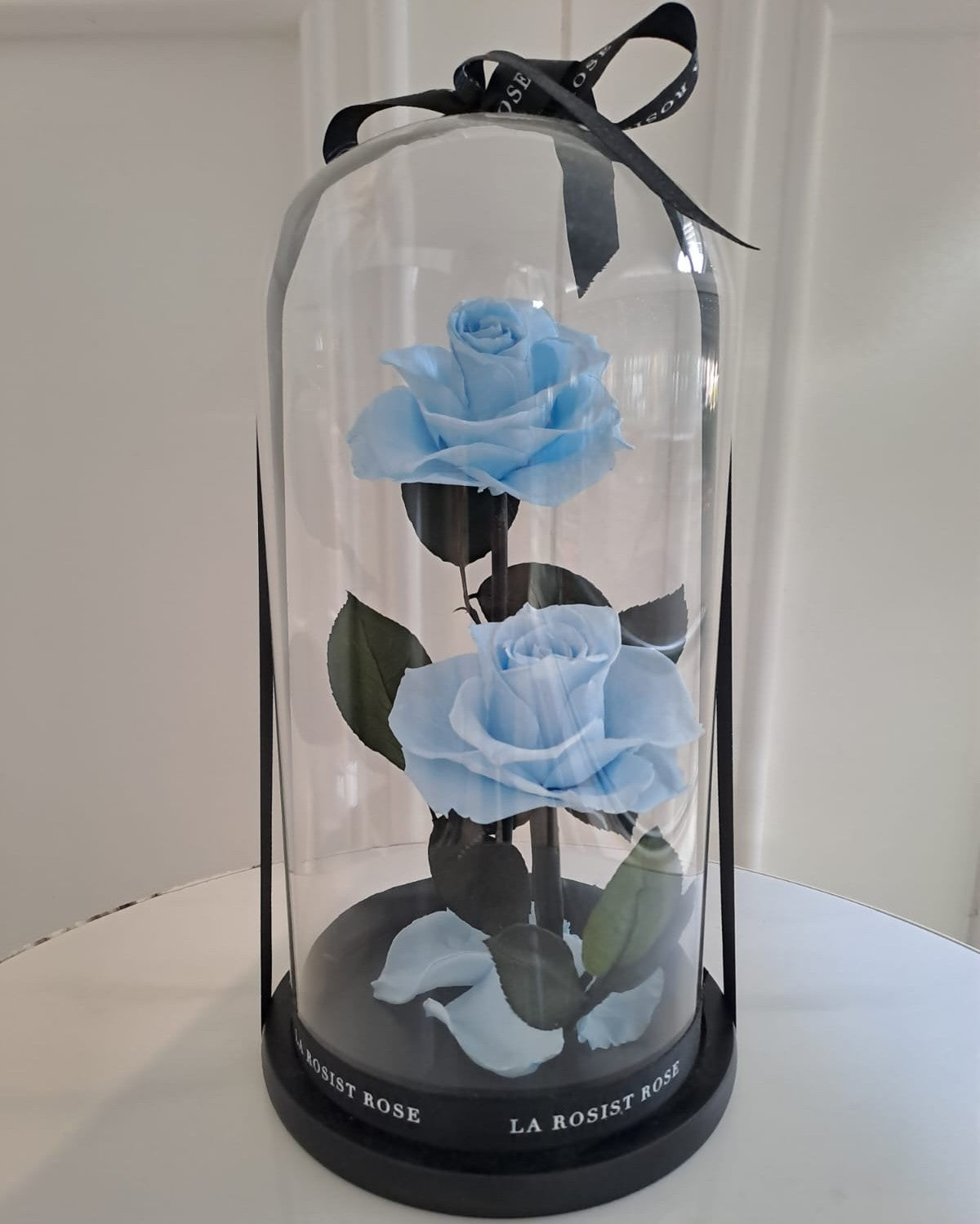 2 Head Infinity Rose Dome/Size 4