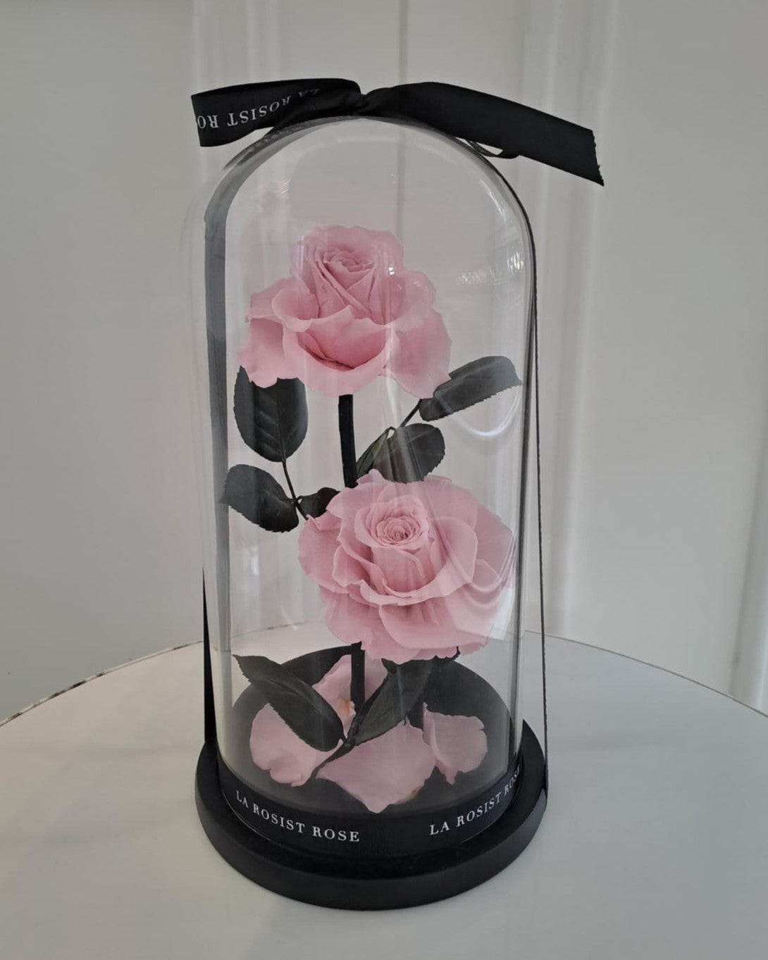 2 Head Infinity Rose Dome/Size 4