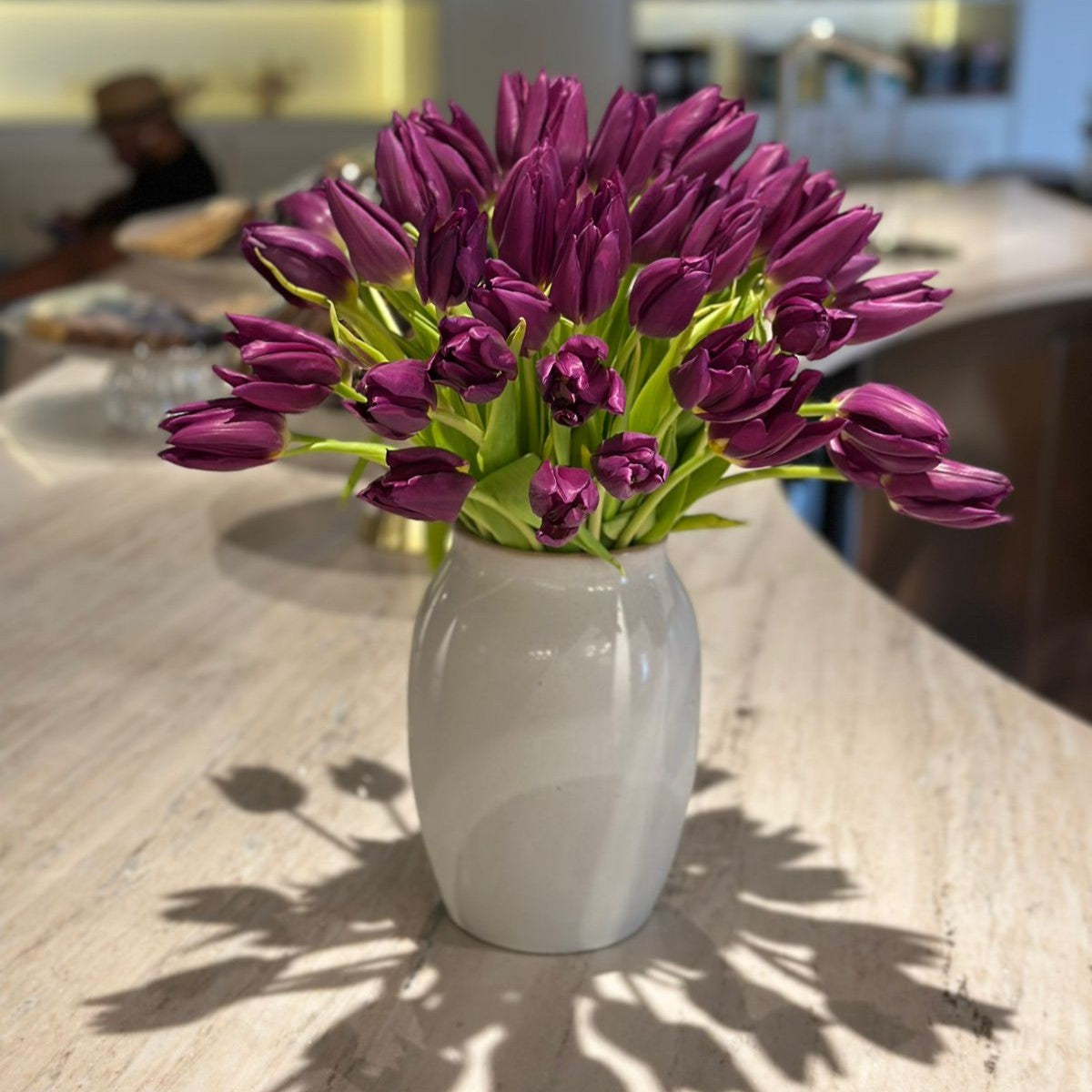 Tulip Madness
