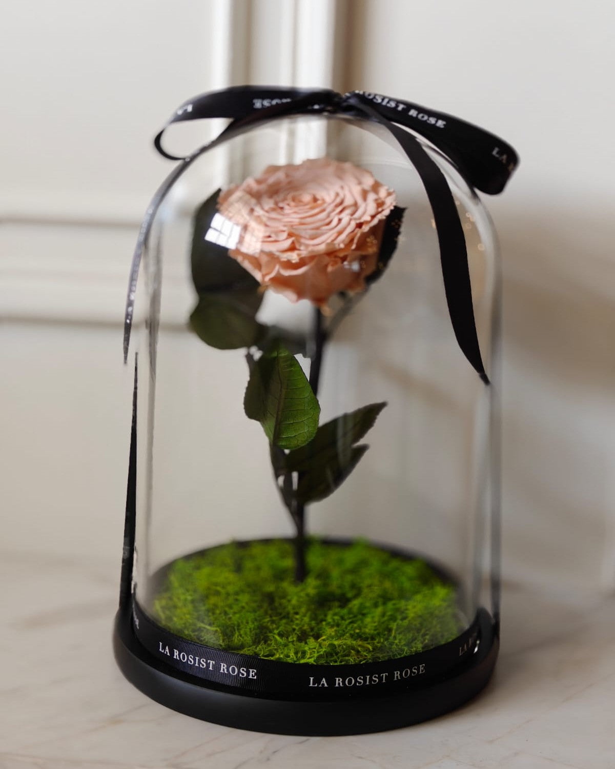 1 Head Infinity  Rose Dome /Size5