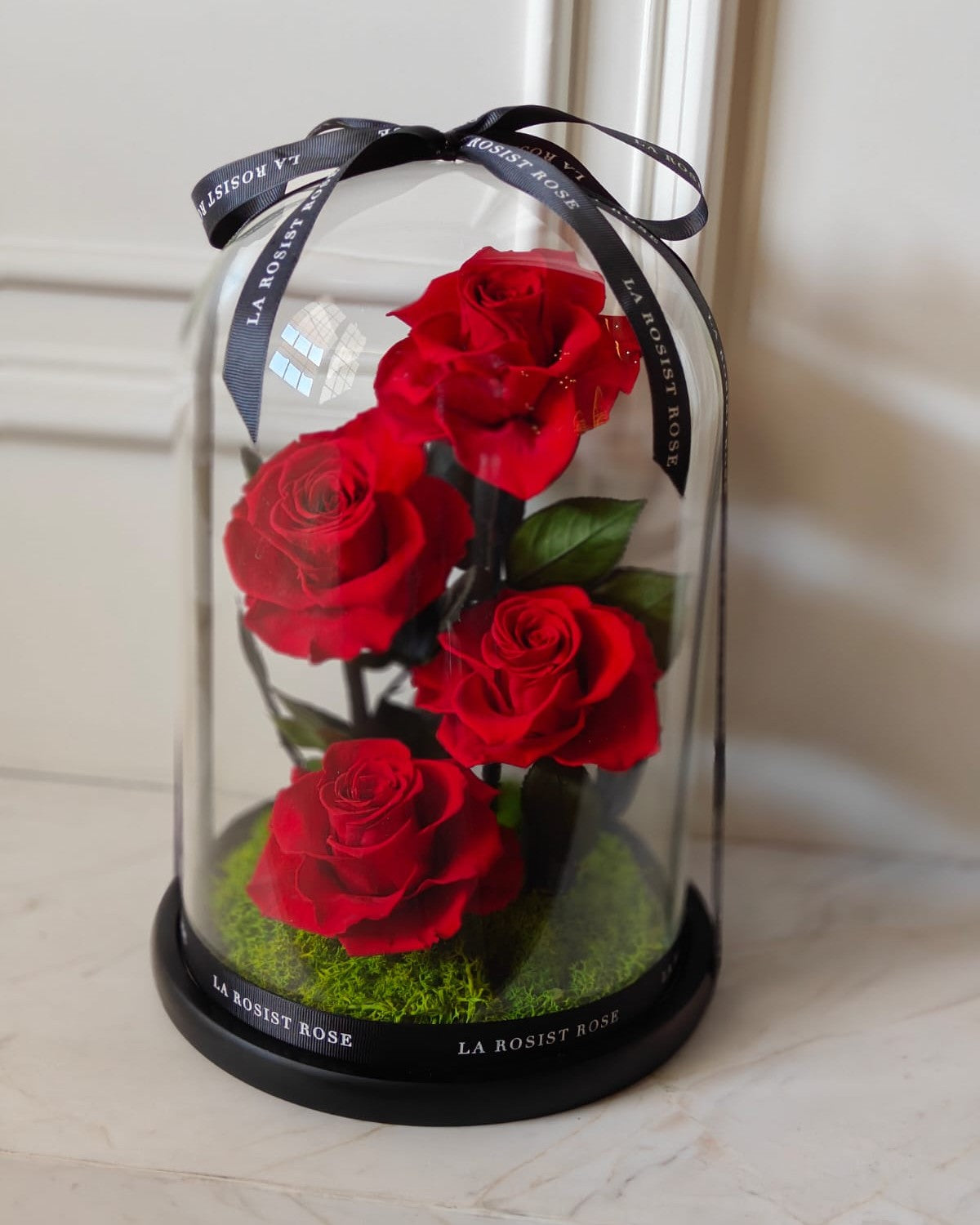 4 Head Infinity Rose Dome /Size5