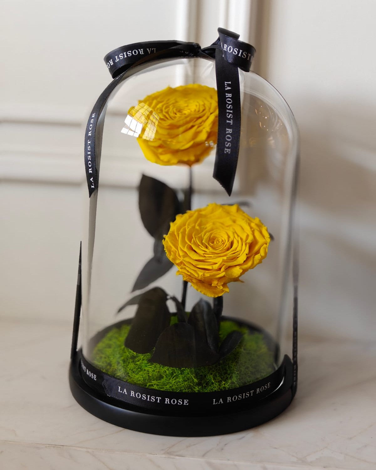 2 head  Infinity Rose Dome / Size5